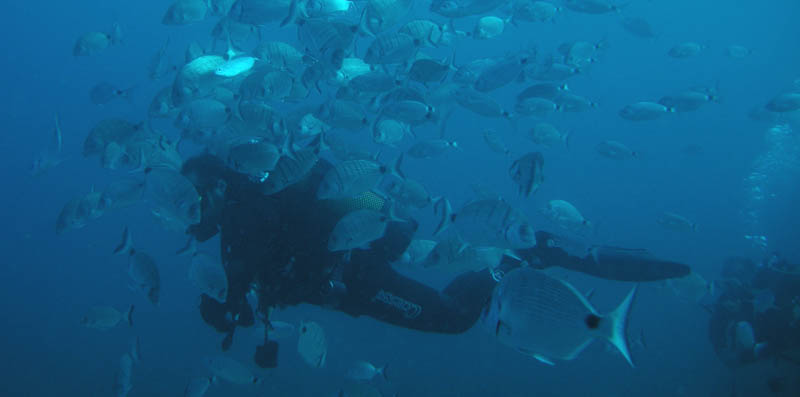 Buceo y campers, lo mejor de dos mundos