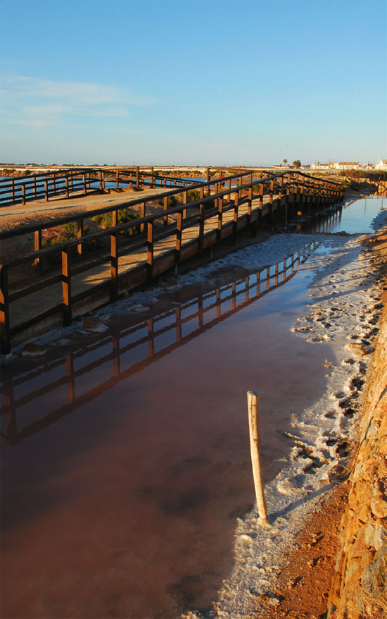 Ruta con niños: Parque Regional Salinas de San Pedro