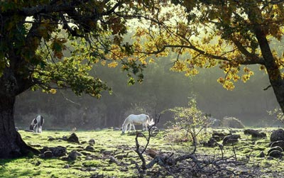 Salamanca natural, un tesoro cercano