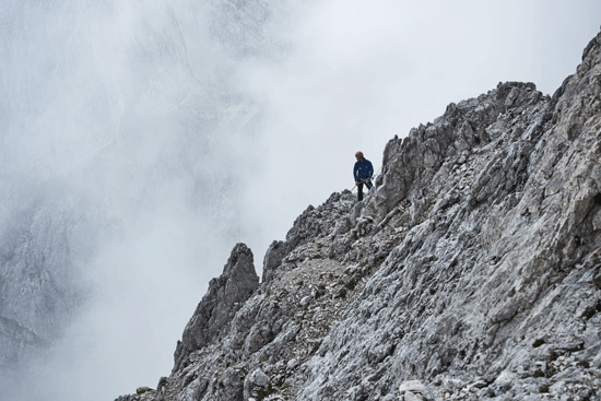 Vida en la vertical