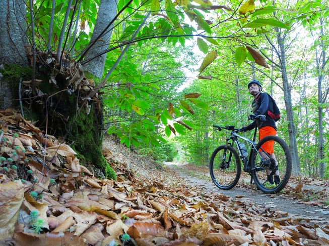 10 rutas otoñales
