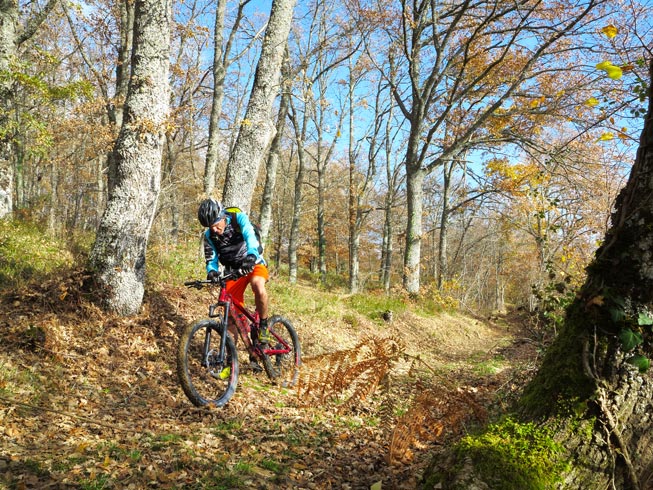 10 rutas otoñales