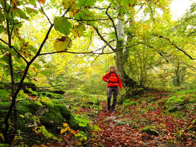 10 rutas otoñales