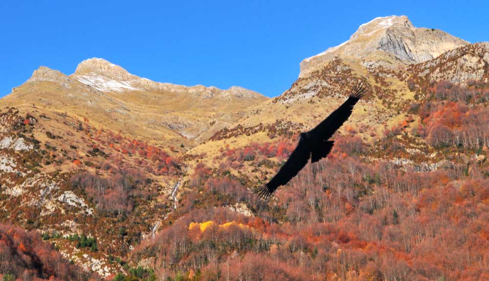 10 rutas otoñales