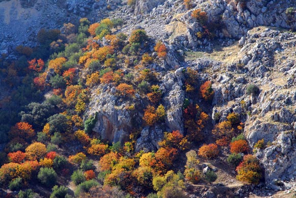 10 rutas otoñales