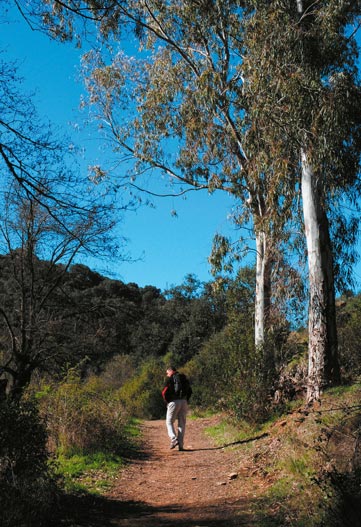 5 Parques Nacionales en otoño