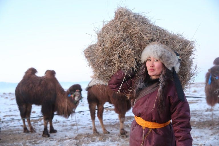 De Mongolia a Londres: 12.000 km con camellos