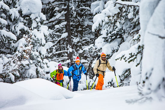 Grandvalira: Skimo & Freeride