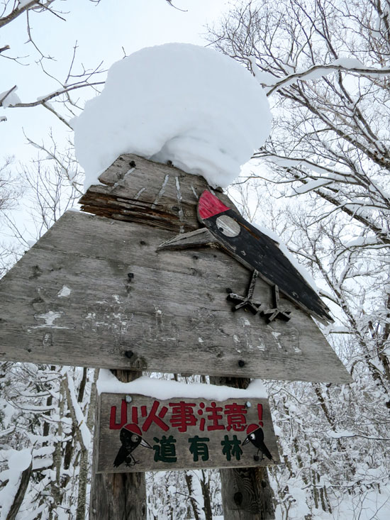 Japón: la mejor nieve del mundo