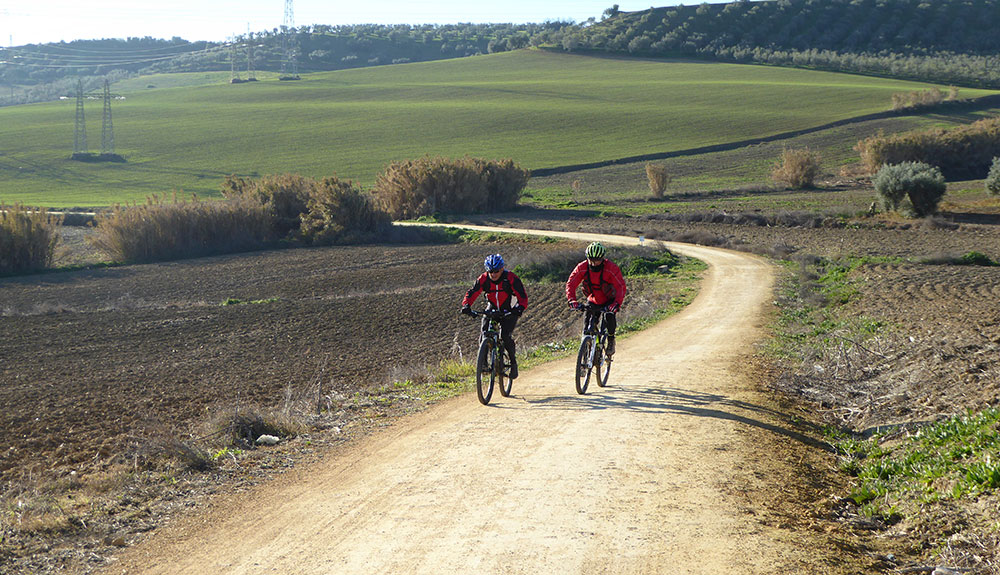 Dos grandes rutas circulares en Sevilla