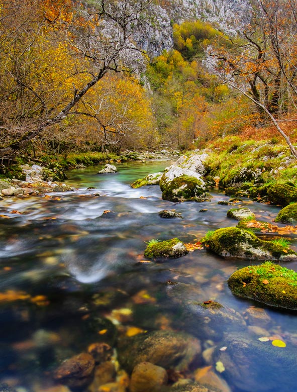 5 bosques desconocidos para primavera y otoño