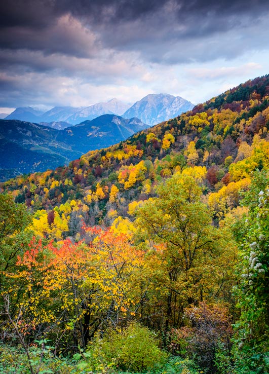 5 bosques desconocidos para primavera y otoño