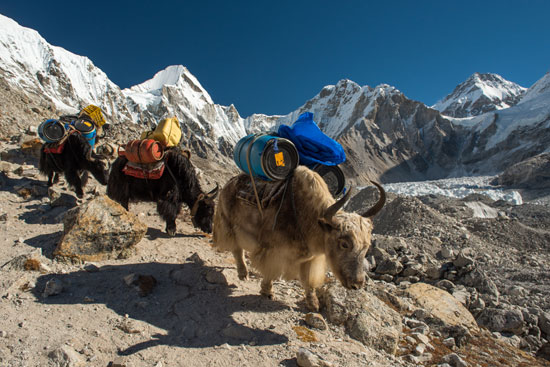 ¿Qué hacer con los cadáveres del Everest?