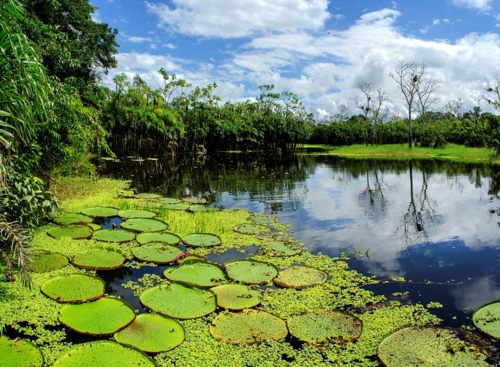 Loreto, pura naturaleza en Perú