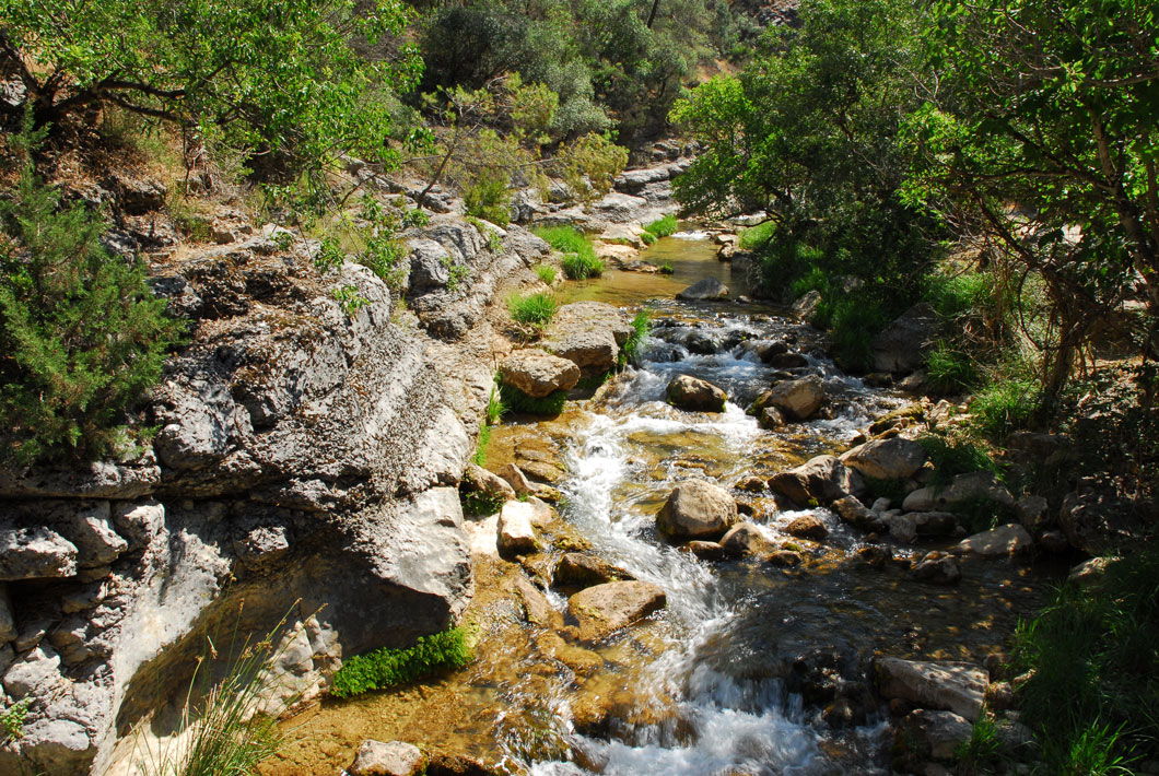 Parque Natural de Cazorla, Segura y las Villas
