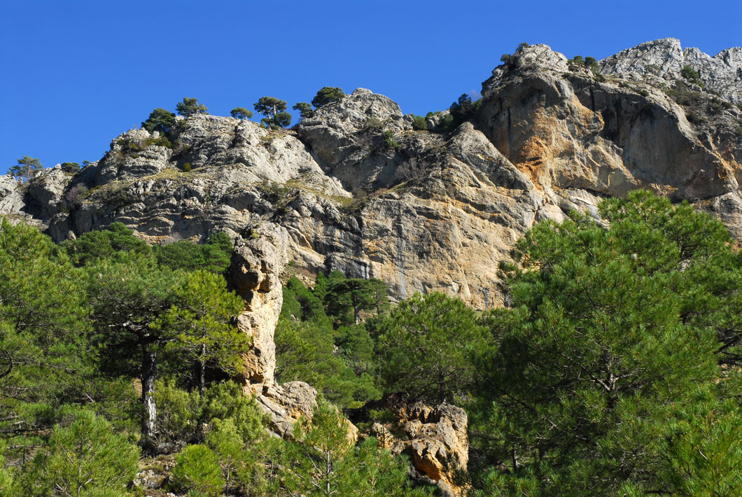 Parque Natural de Cazorla, Segura y las Villas