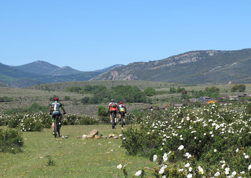 5 rutas de mountain bike para disfrutar del otoño