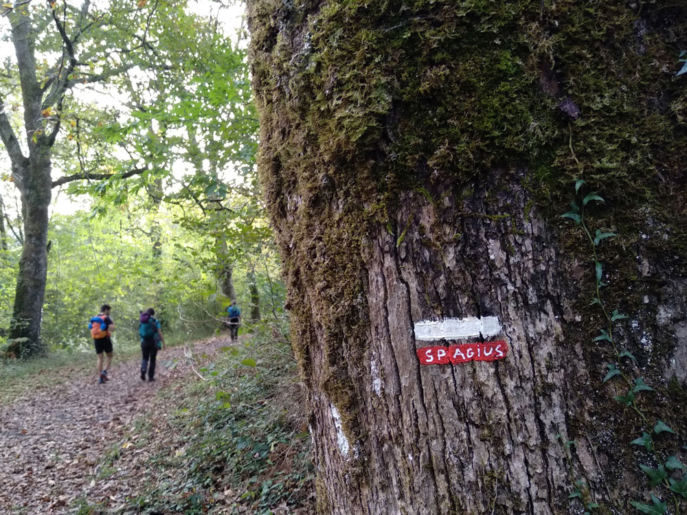 Trail 2 Challenge: una aventura apasionante en los Pirineos 