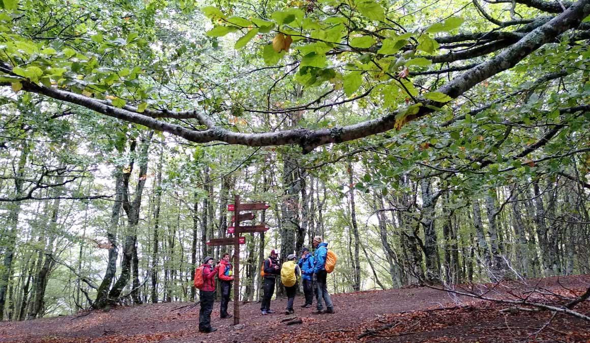 Trail 2 Challenge: una aventura apasionante en los Pirineos 