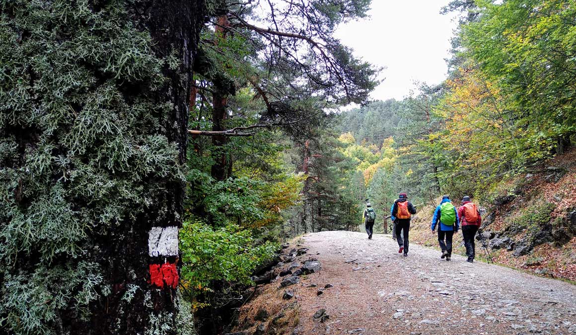 Trail 2 Challenge: una aventura apasionante en los Pirineos 