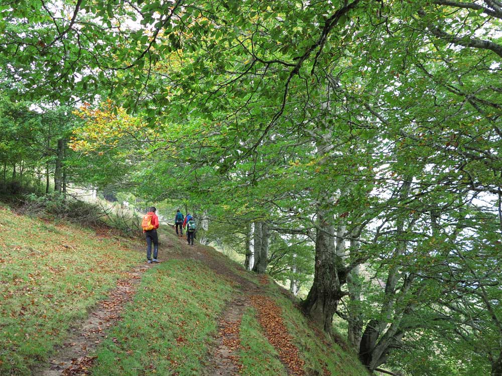 Trail 2 Challenge: una aventura apasionante en los Pirineos 