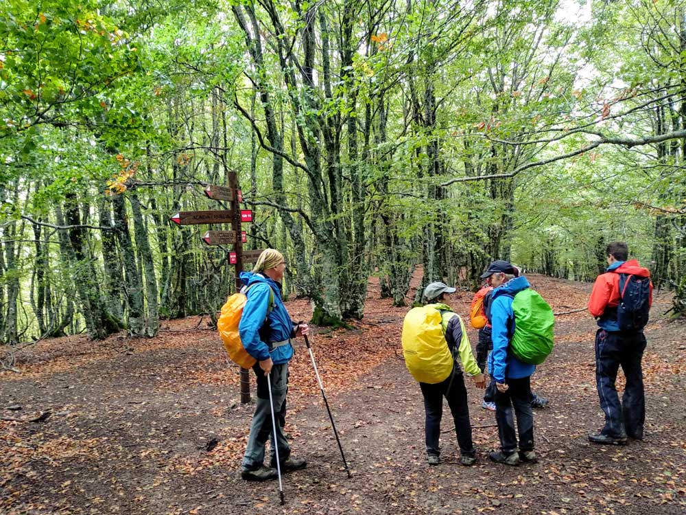 Trail 2 Challenge: una aventura apasionante en los Pirineos 