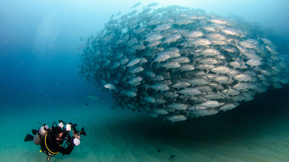 costa rica te oxigena buceo