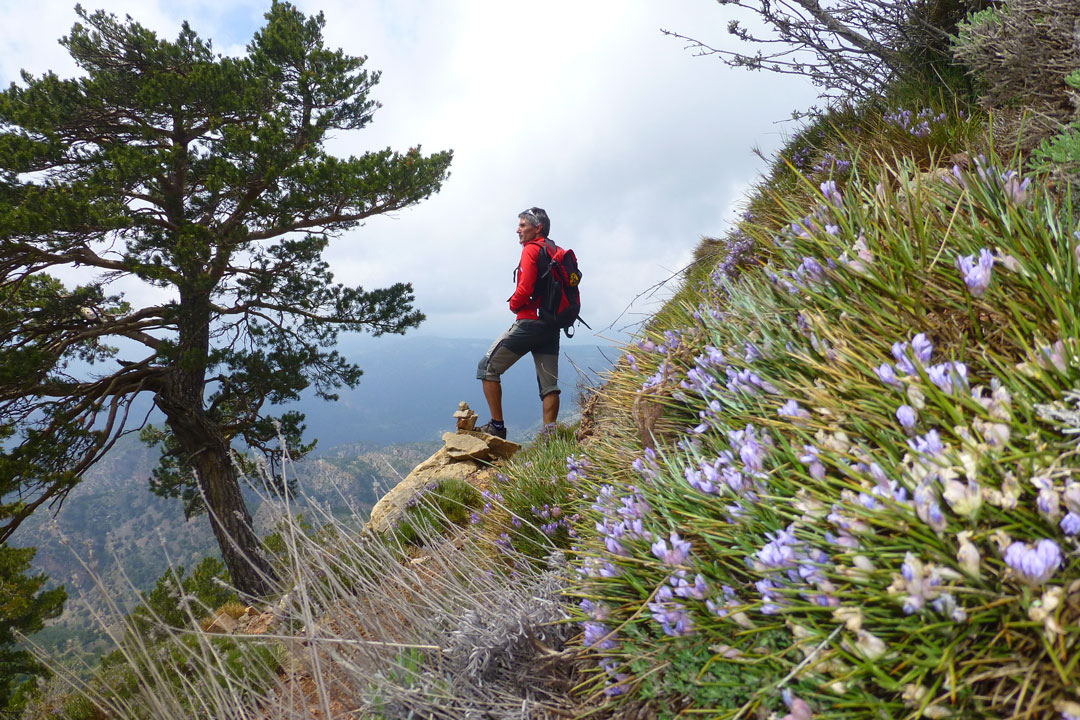 Penyagolosa, un coloso entre abismos y bosques