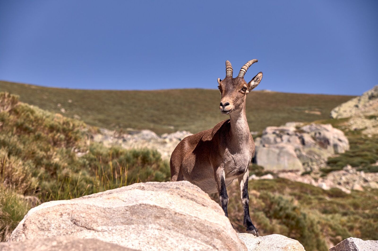 Maravillas naturales de España 
