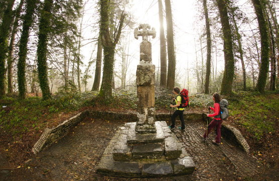 Camino Santiago
