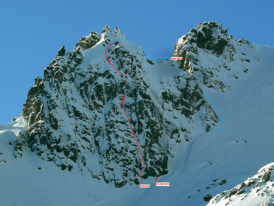 Camarón Gredos