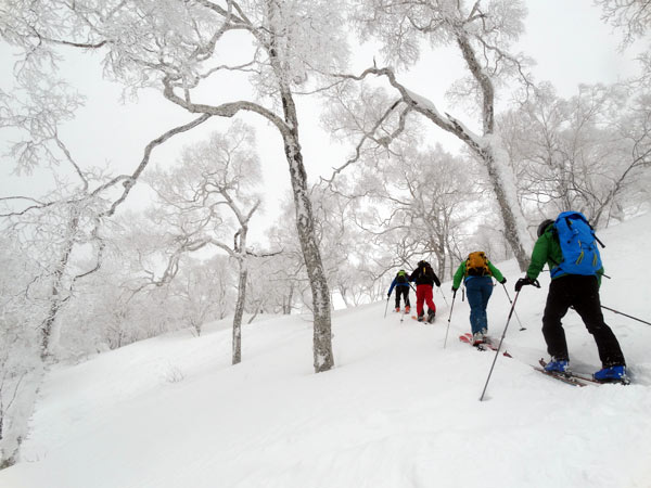 Skimo Hokkaido