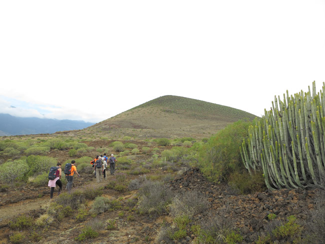 Tenerife Walking Festival costas