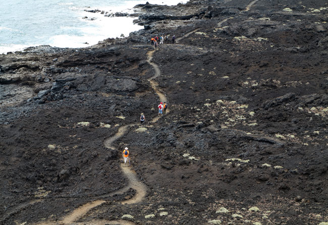 Tenerife Walking Festival ruta costa
